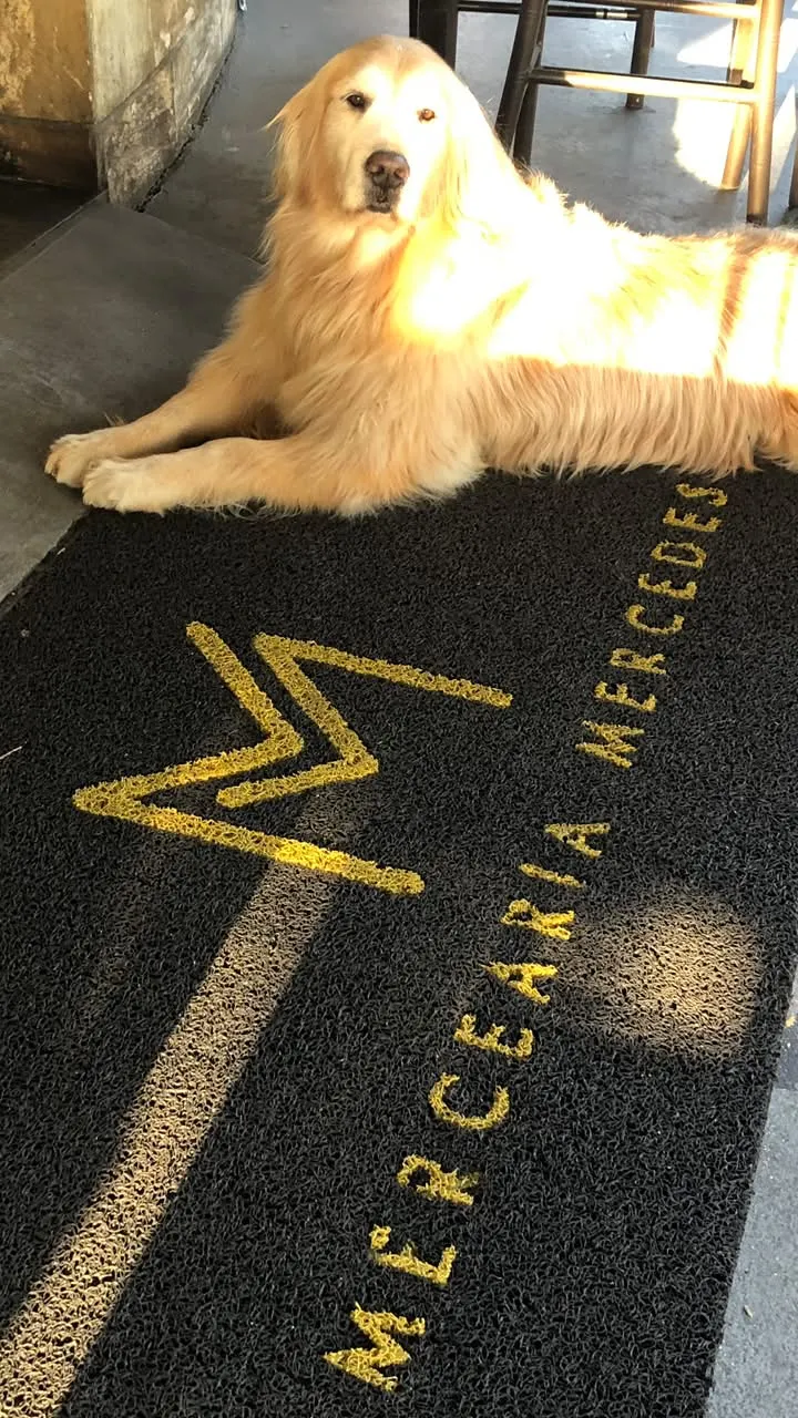 Ambiente Pet Friendly